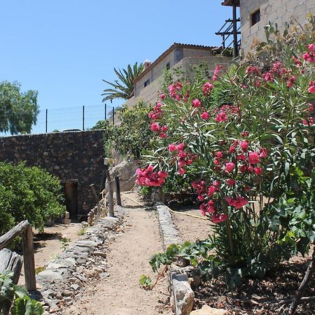 Casa Rural Anton Piche With Pool-Adults Only Granadilla De Abona Eksteriør billede