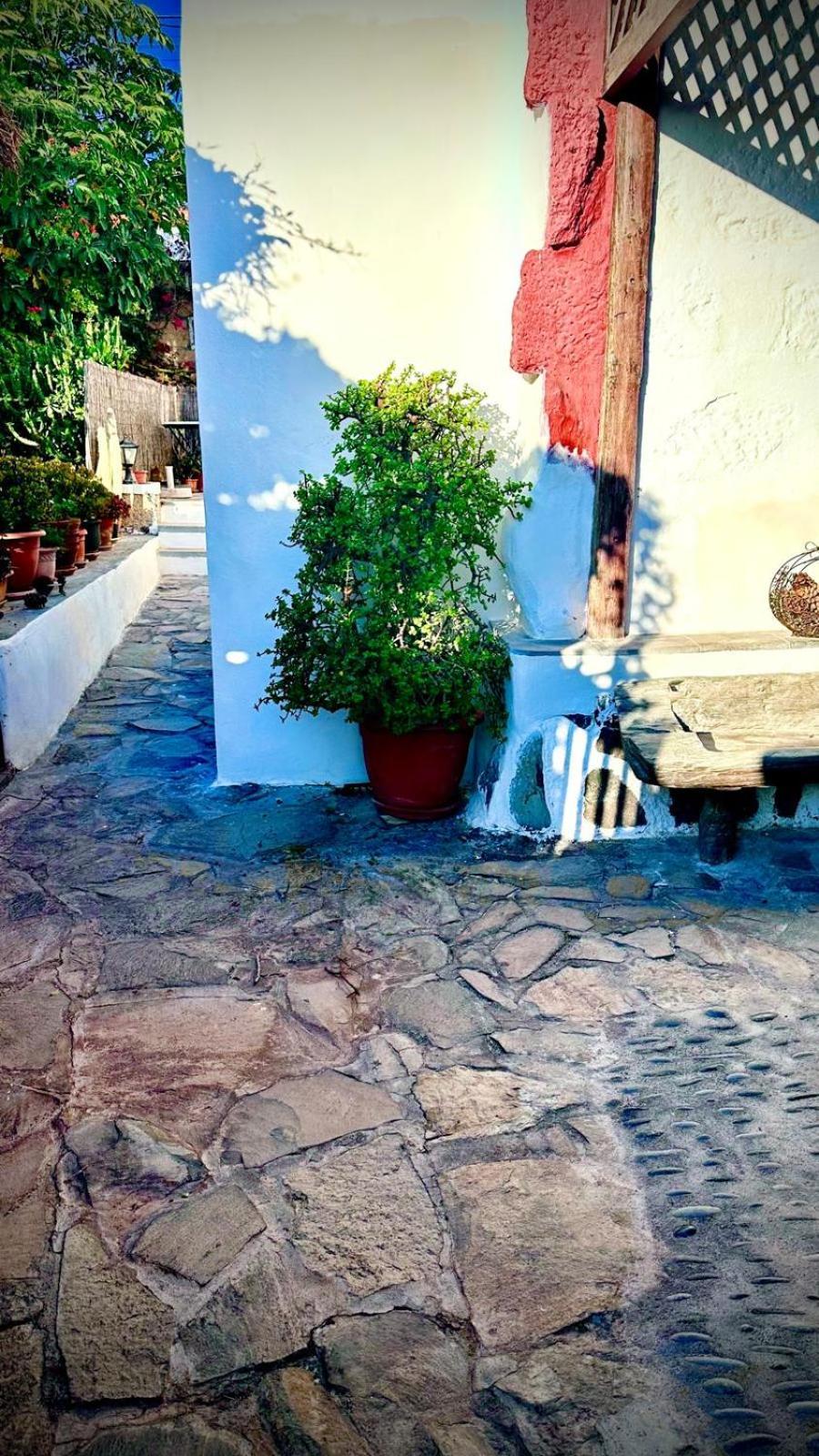 Casa Rural Anton Piche With Pool-Adults Only Granadilla De Abona Eksteriør billede