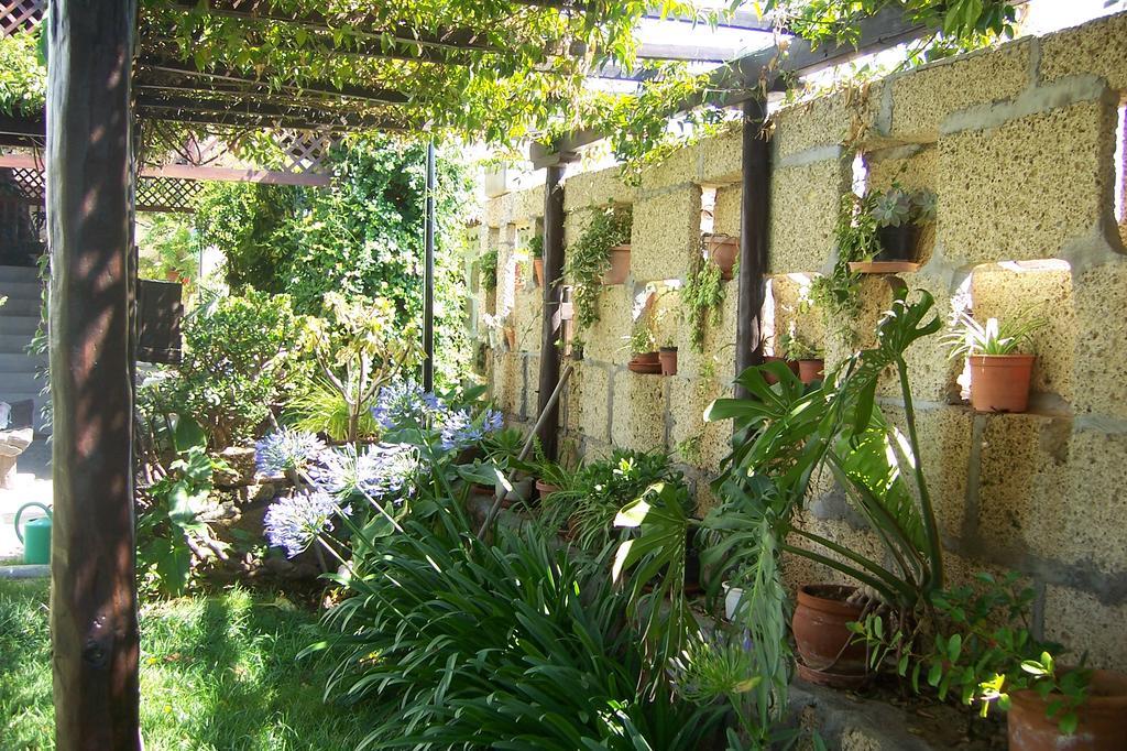 Casa Rural Anton Piche With Pool-Adults Only Granadilla De Abona Eksteriør billede