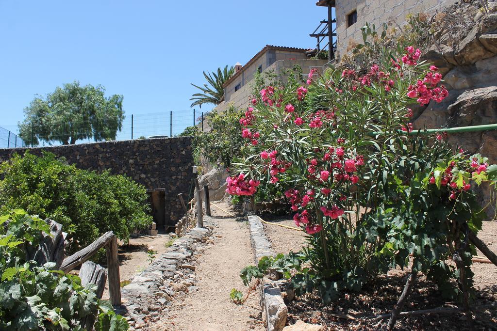 Casa Rural Anton Piche With Pool-Adults Only Granadilla De Abona Eksteriør billede
