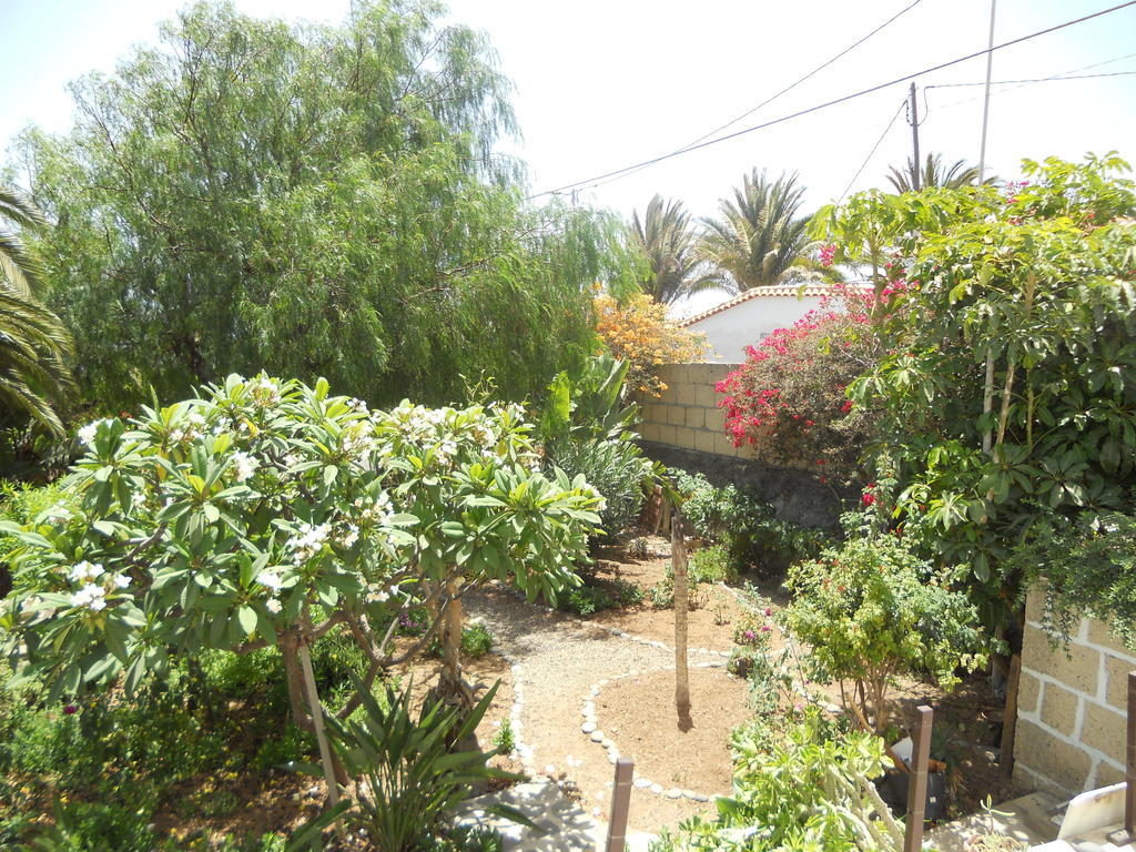 Casa Rural Anton Piche With Pool-Adults Only Granadilla De Abona Eksteriør billede