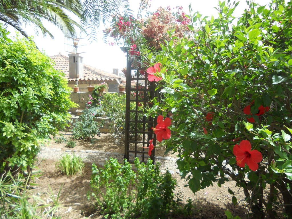 Casa Rural Anton Piche With Pool-Adults Only Granadilla De Abona Eksteriør billede
