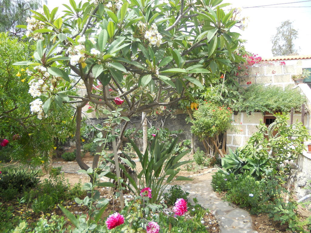 Casa Rural Anton Piche With Pool-Adults Only Granadilla De Abona Eksteriør billede